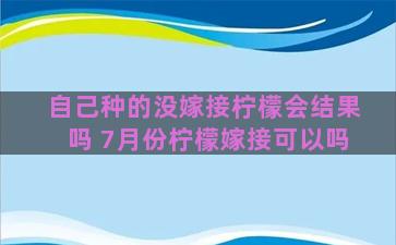 自己种的没嫁接柠檬会结果吗 7月份柠檬嫁接可以吗